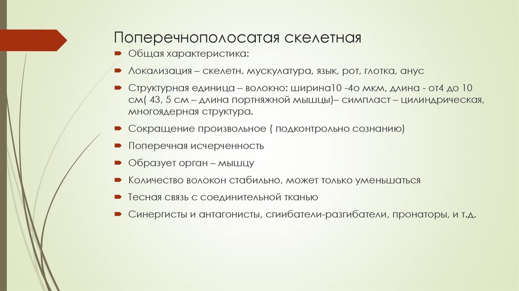 Поперечнополосатая скелетная