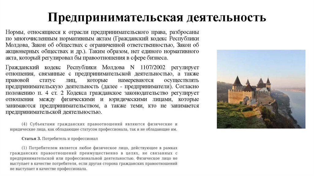 Предпринимательская деятельность