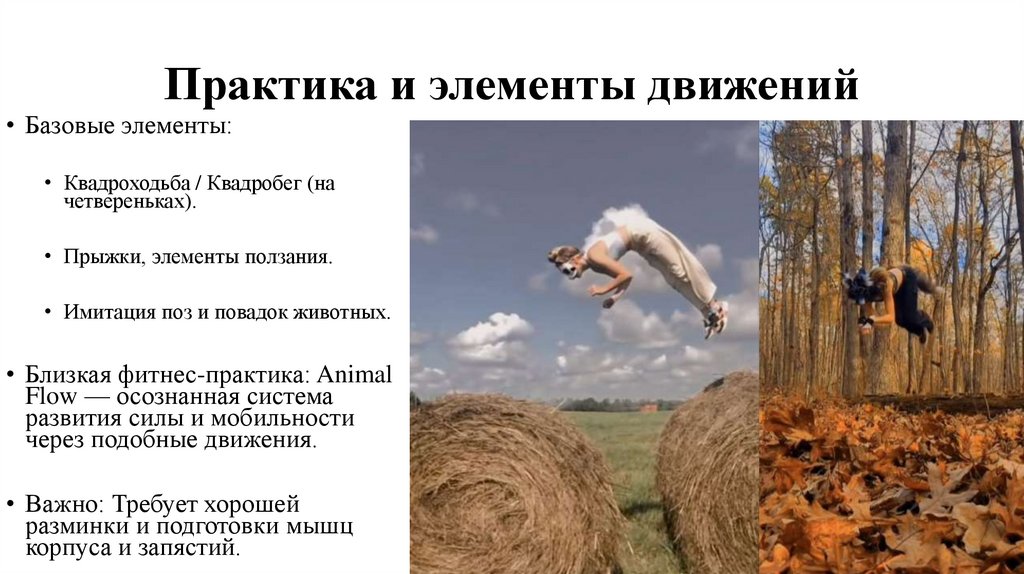 Практика и элементы движений