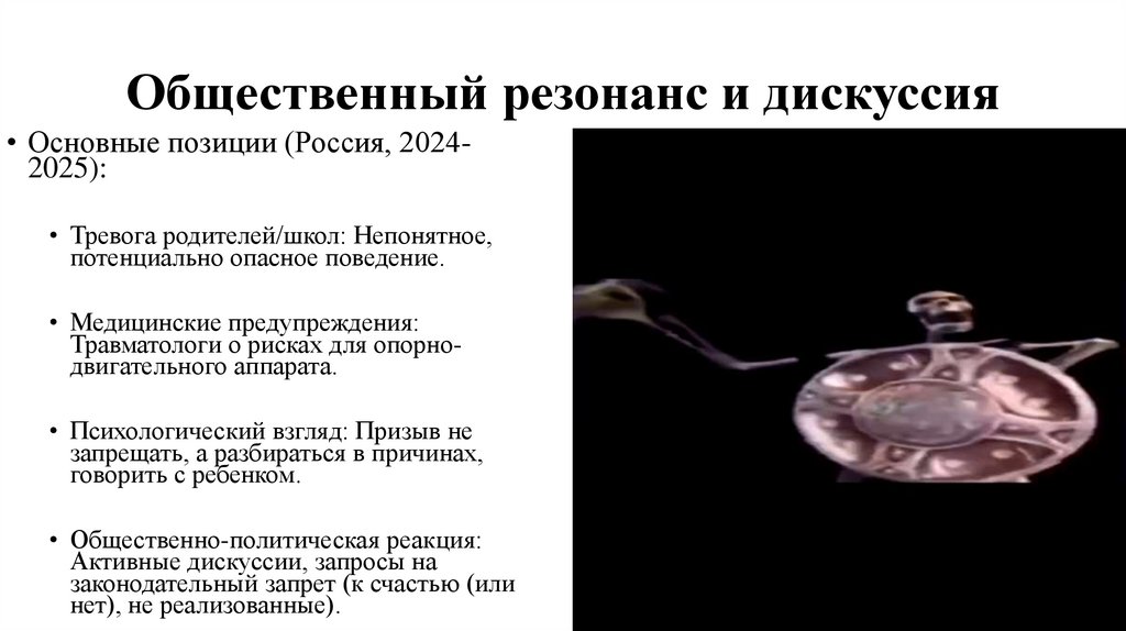 Общественный резонанс и дискуссия