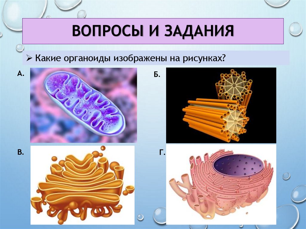 Вопросы и задания