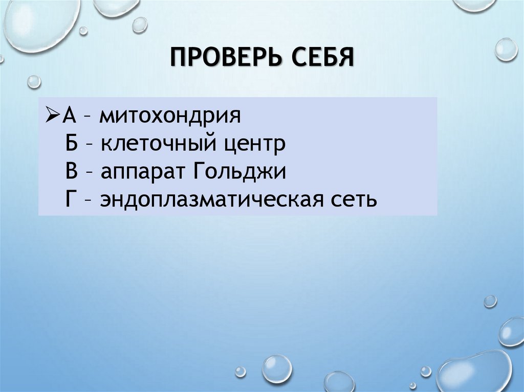 Проверь себя