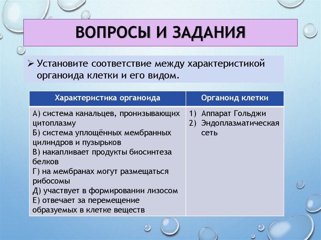 Вопросы и задания