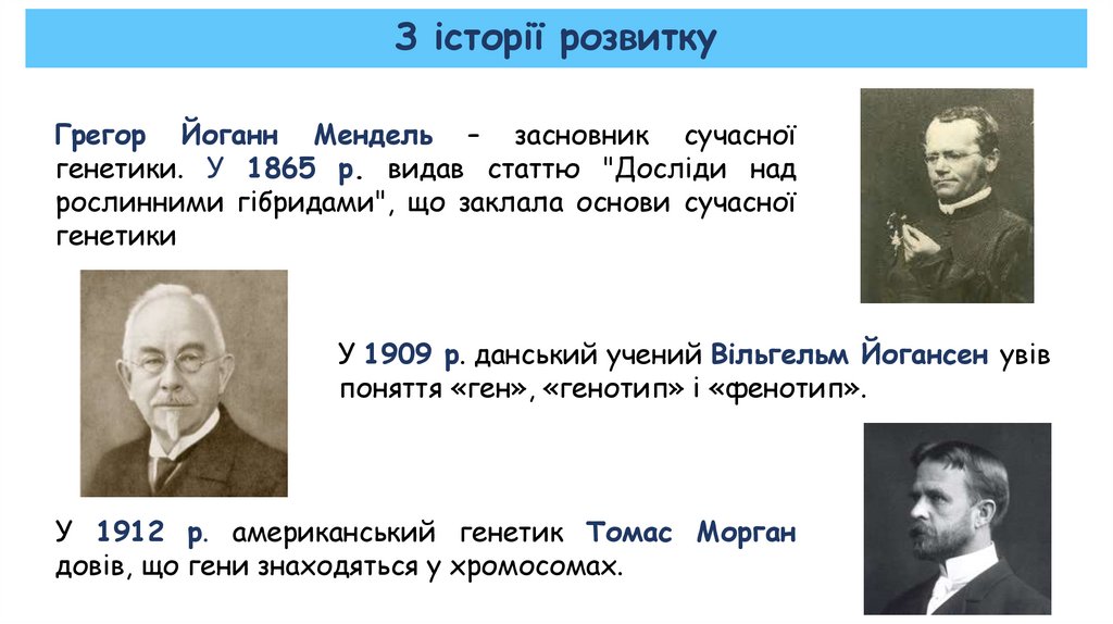 З історії розвитку