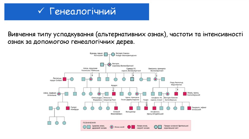 Генеалогічний