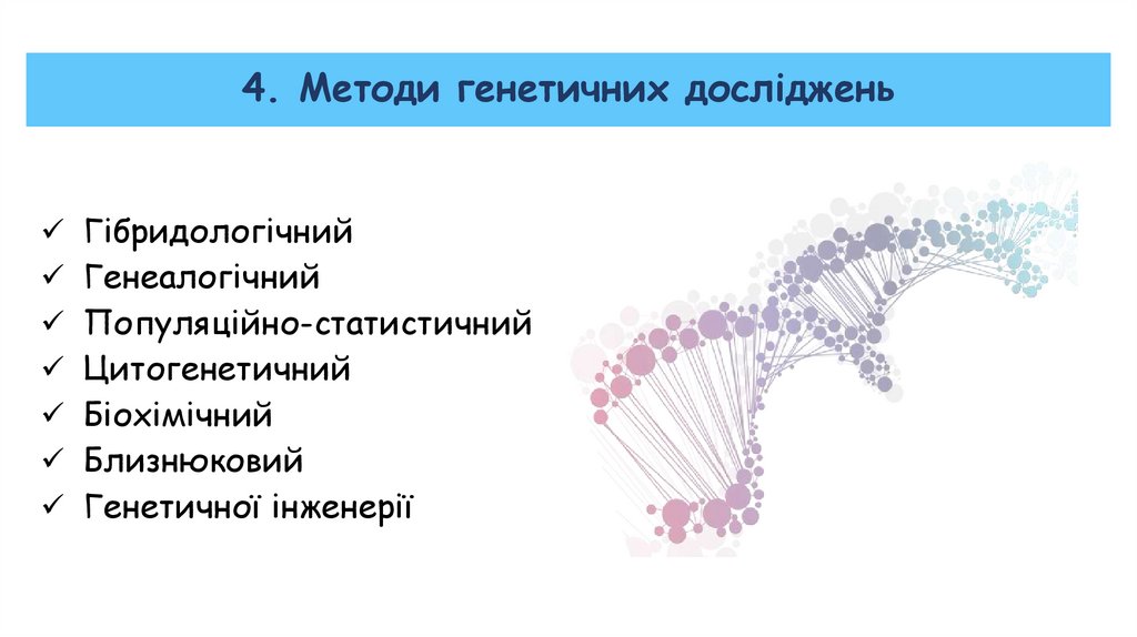 4. Методи генетичних досліджень