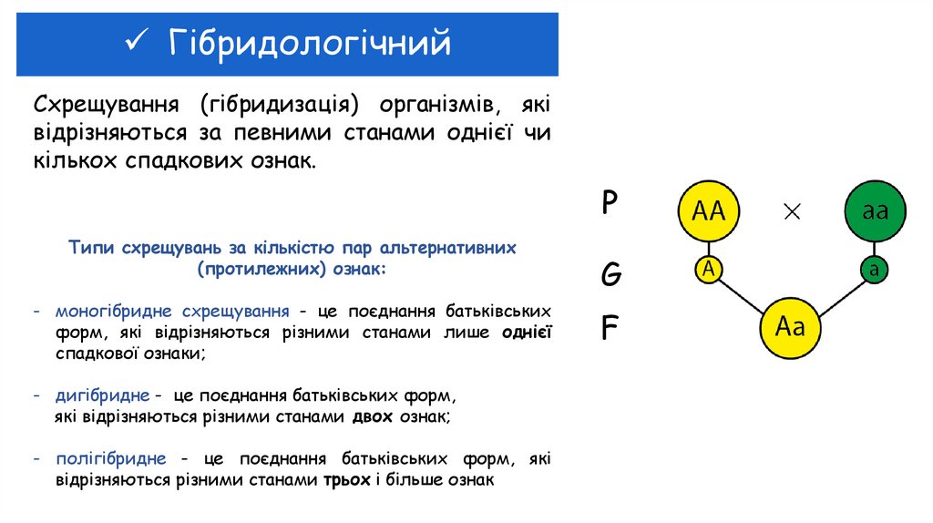 Гібридологічний