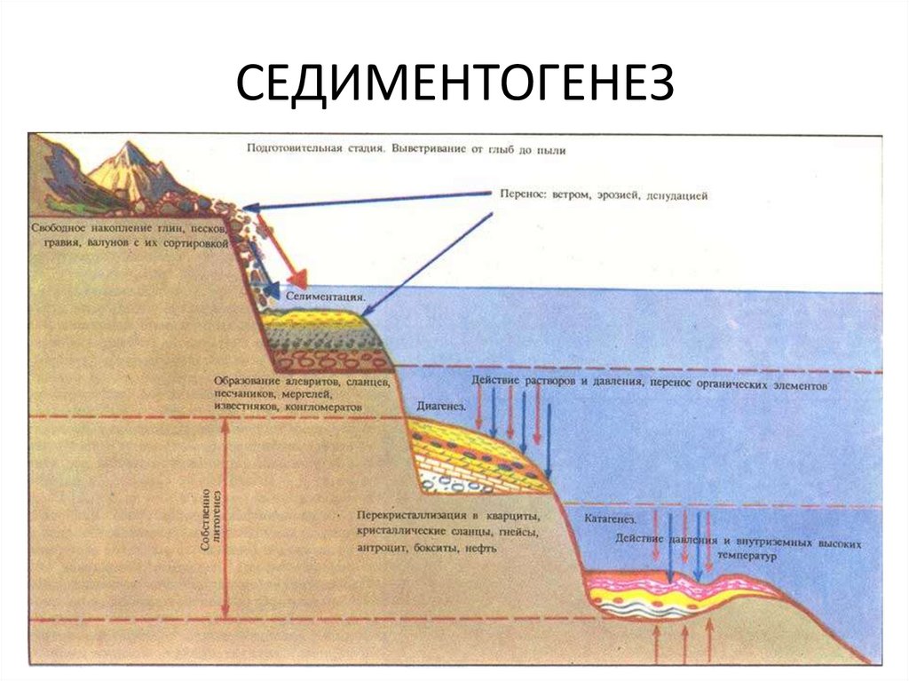 СЕДИМЕНТОГЕНЕЗ