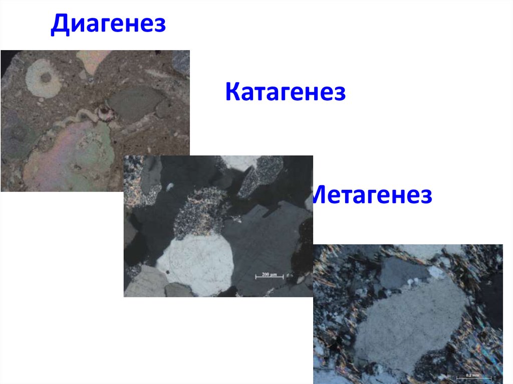 Диагенез Катагенез Метагенез