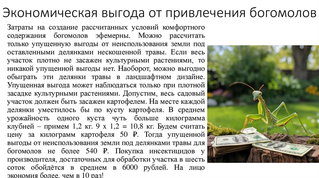 Экономическая выгода от привлечения богомолов