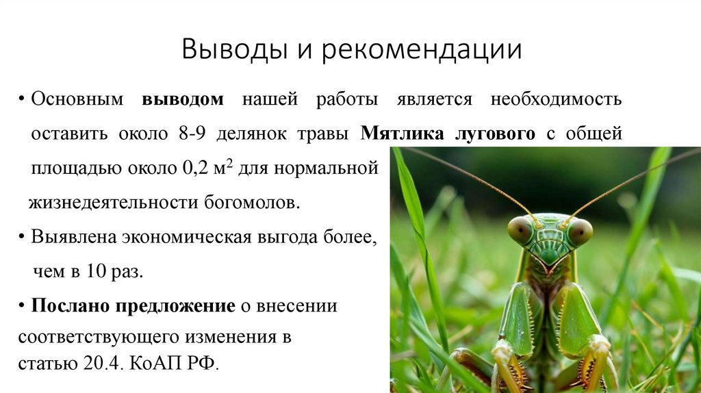 Выводы и рекомендации