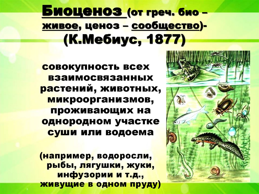 Биоценоз (от греч. био – живое, ценоз – сообщество)- (К.Мебиус, 1877)