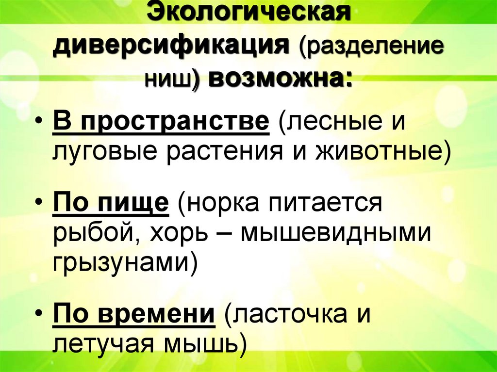 Экологическая диверсификация (разделение ниш) возможна: