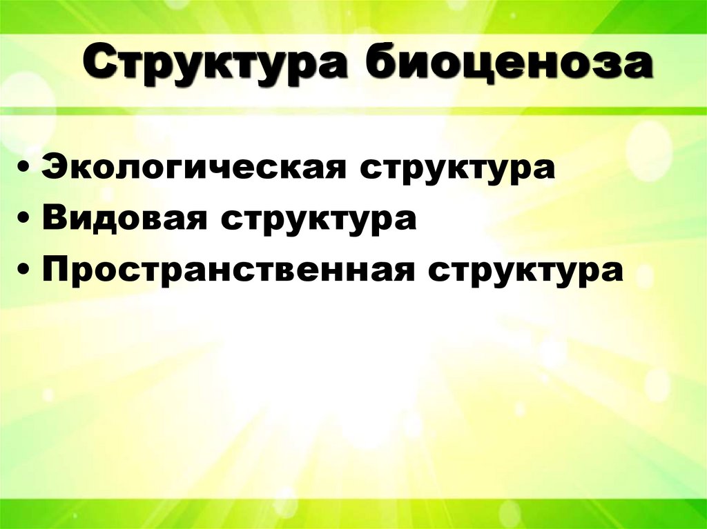 Структура биоценоза