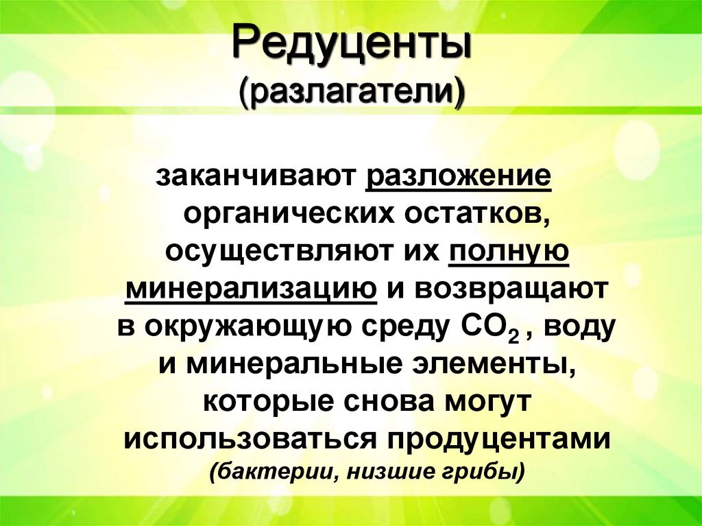 Редуценты (разлагатели)