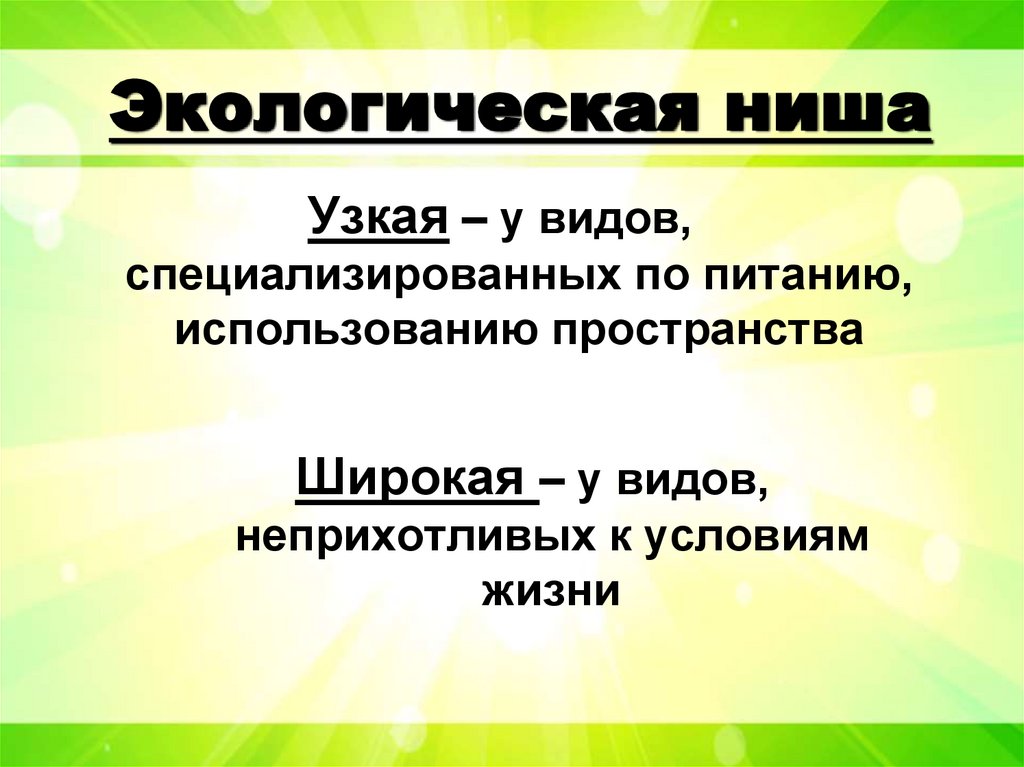 Экологическая ниша