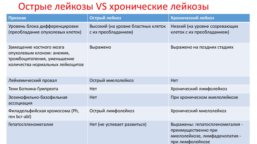 Острые лейкозы VS хронические лейкозы