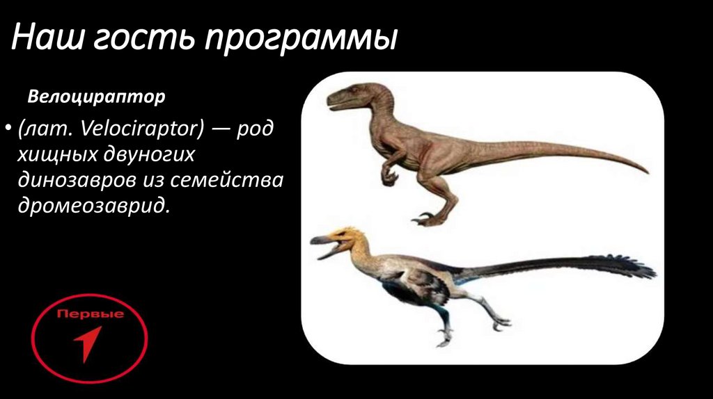 Наш гость программы