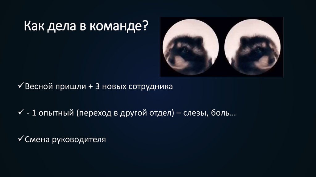 Как дела в команде?