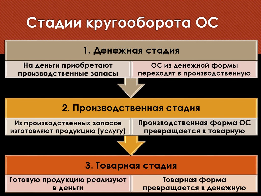 Стадии кругооборота ОС