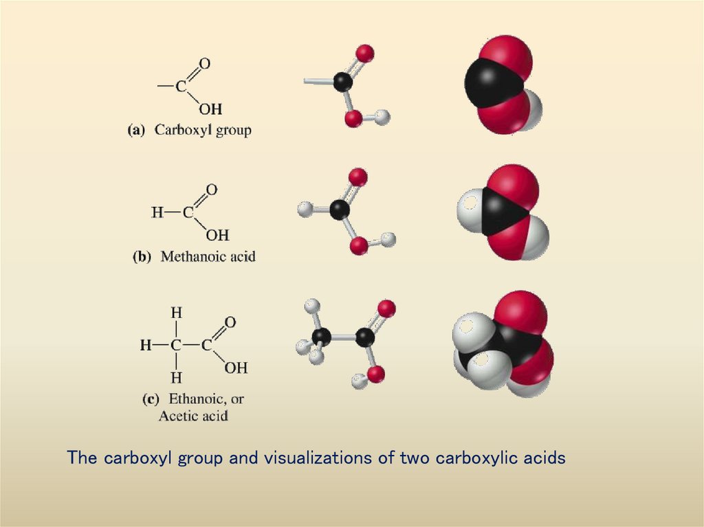 The carboxyl group and visualizations of two carboxylic acids