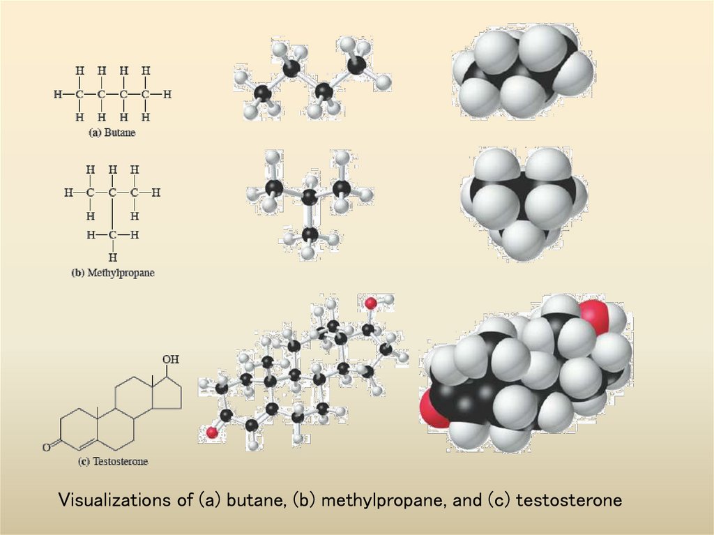 Visualizations of (a) butane, (b) methylpropane, and (c) testosterone
