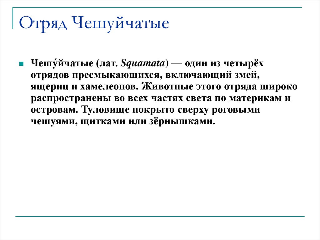 Отряд Чешуйчатые