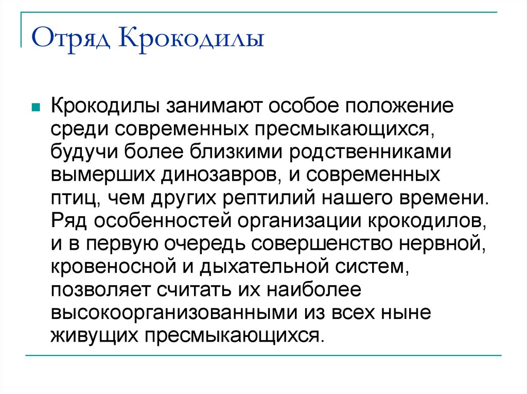 Отряд Крокодилы