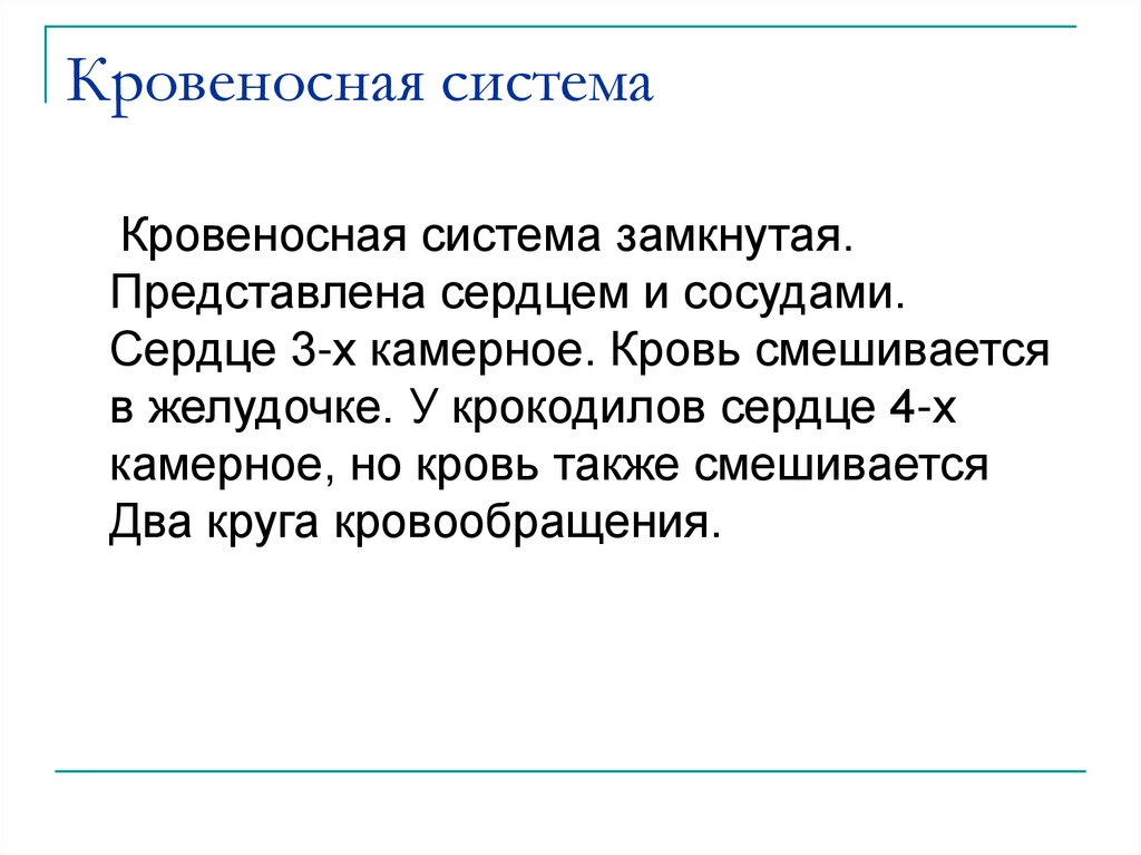 Кровеносная система