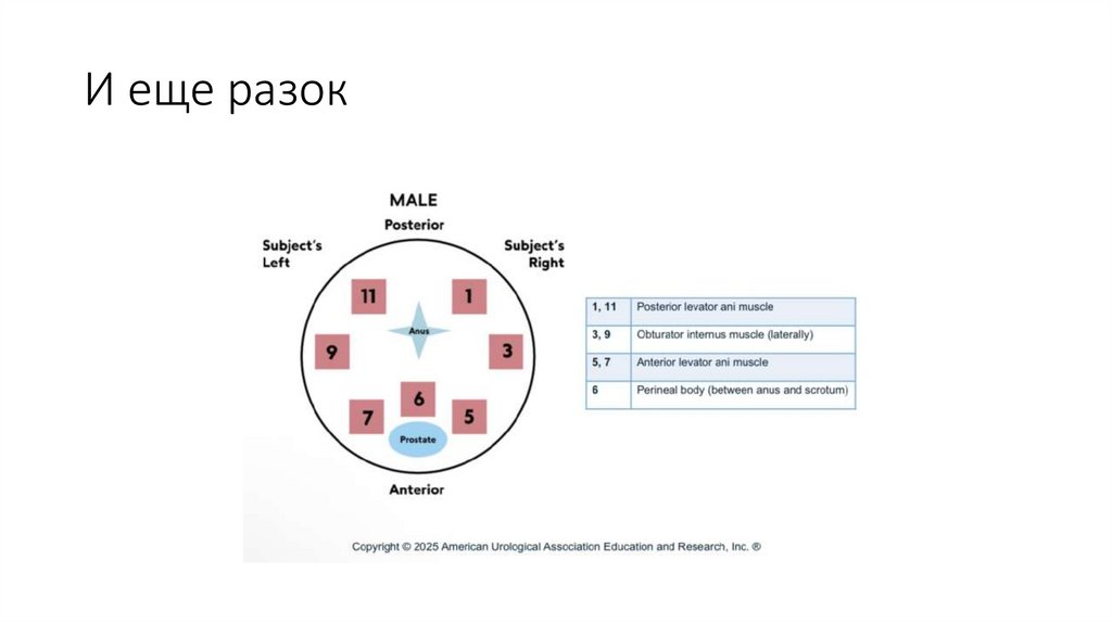 И еще разок