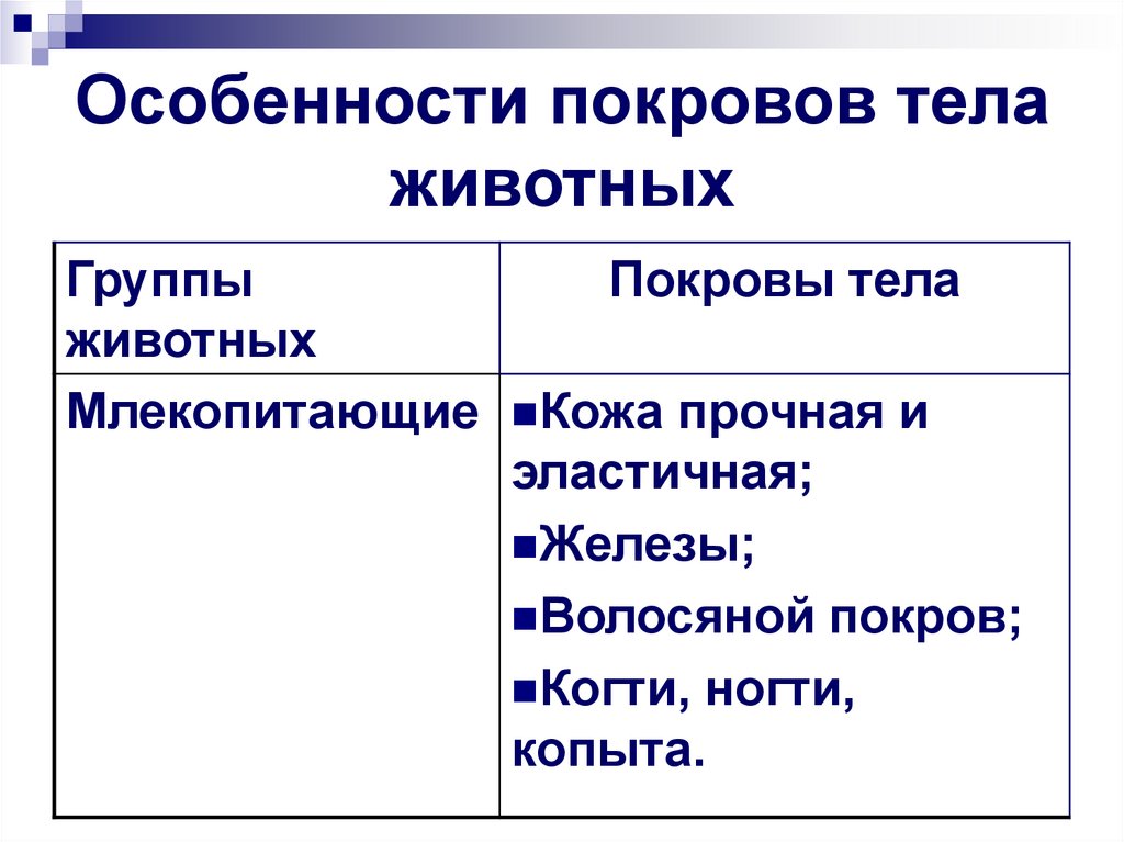 Особенности покровов тела животных
