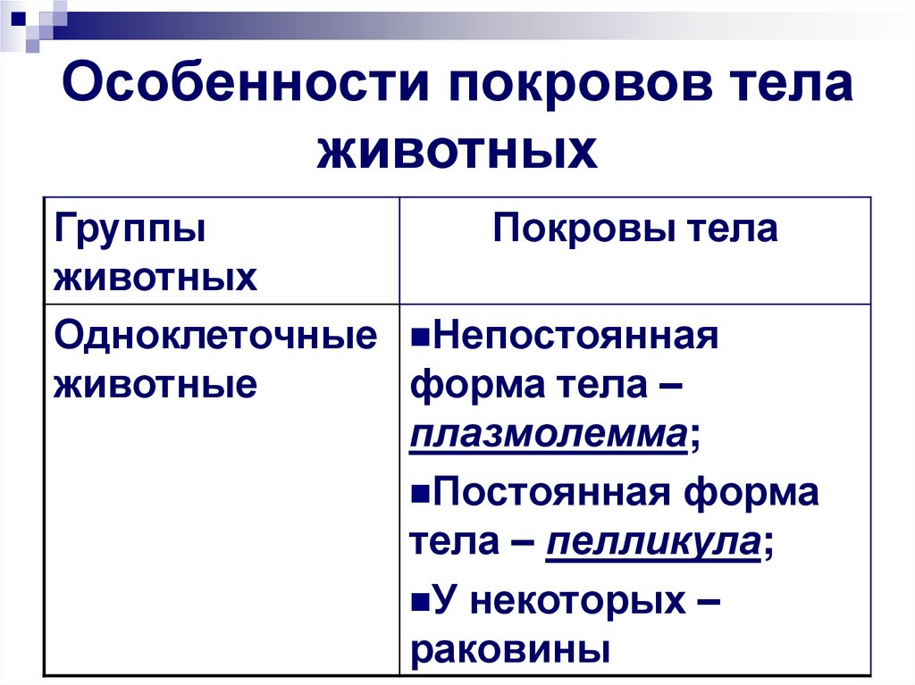 Особенности покровов тела животных