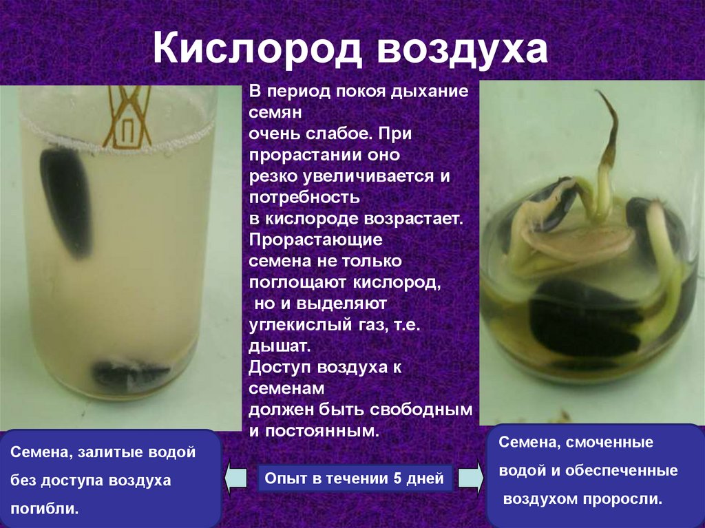 Кислород воздуха