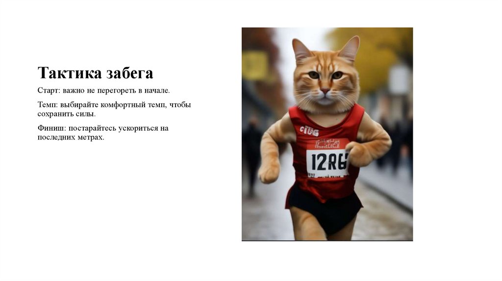 Тактика забега