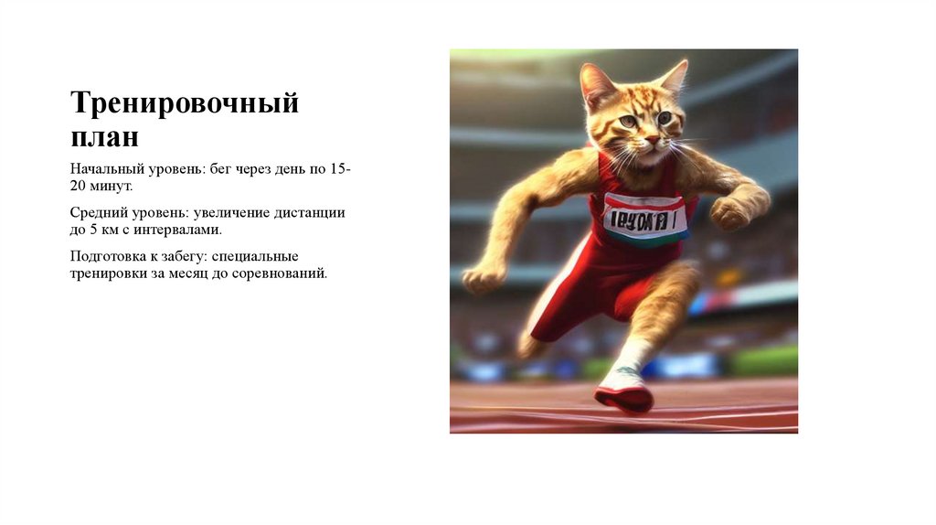 Тренировочный план