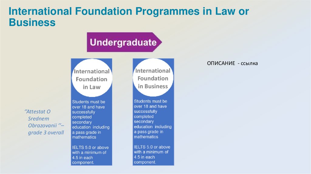 International Foundation Programmes in Law or Business