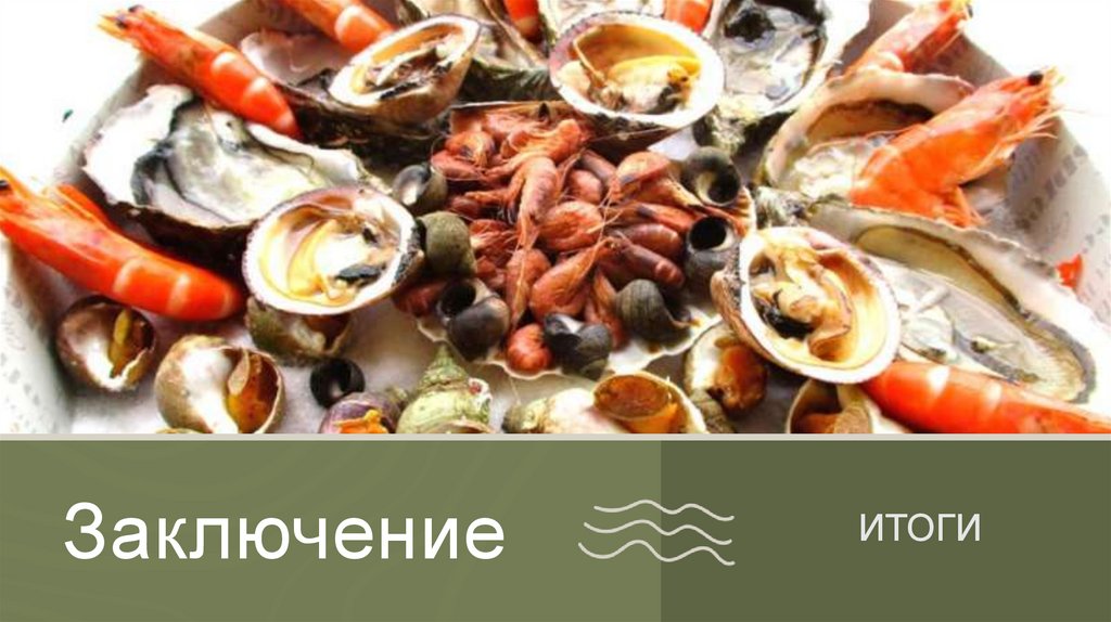 Заключение