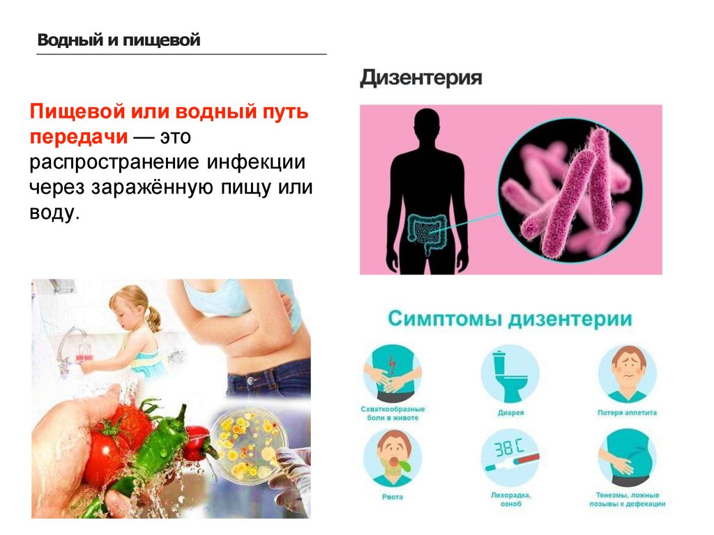 Пищевой или водный путь передачи — это распространение инфекции через заражённую пищу или воду.