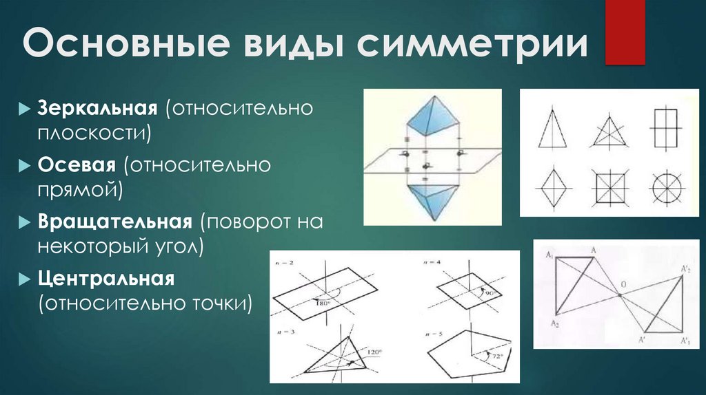 Основные виды симметрии