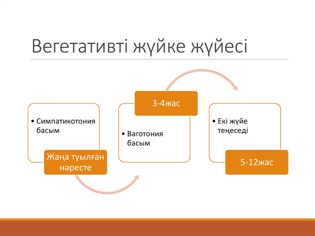 Вегетативті жүйке жүйесі