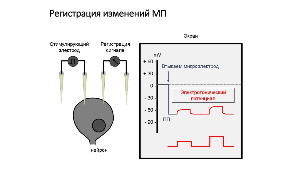 Регистрация изменений МП