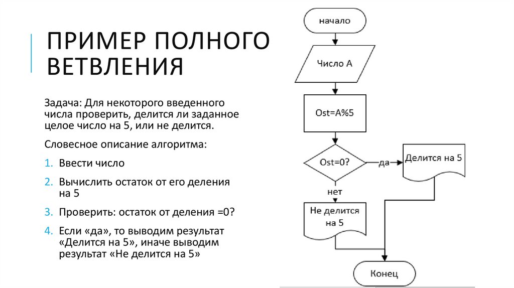 Пример полного ветвления
