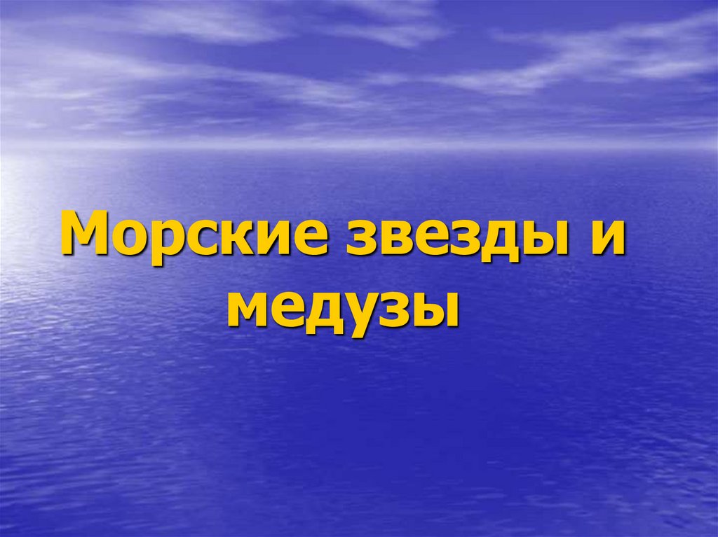 Морские звезды и медузы