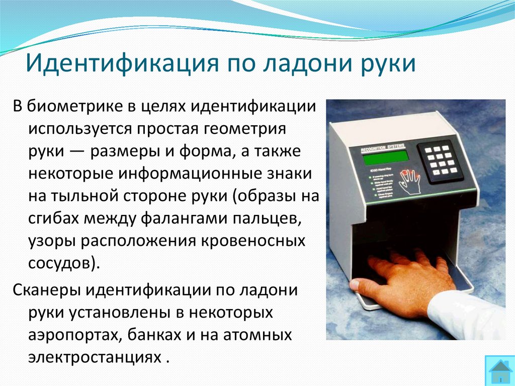 Идентификация по ладони руки
