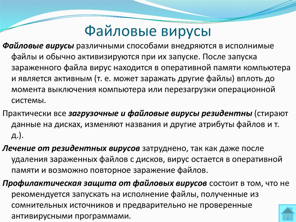 Файловые вирусы