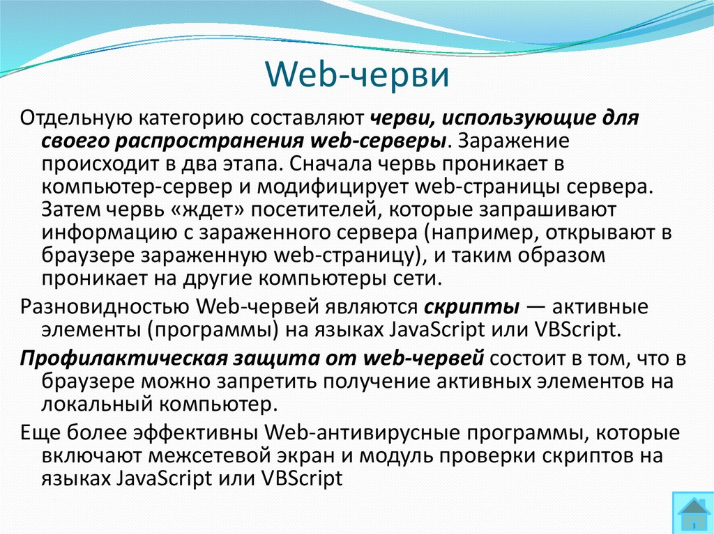 Web-черви