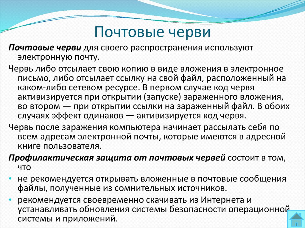 Почтовые черви