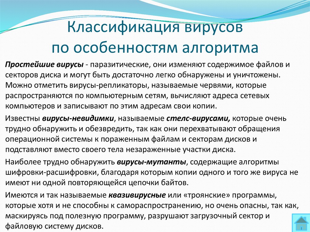 Классификация вирусов по особенностям алгоритма