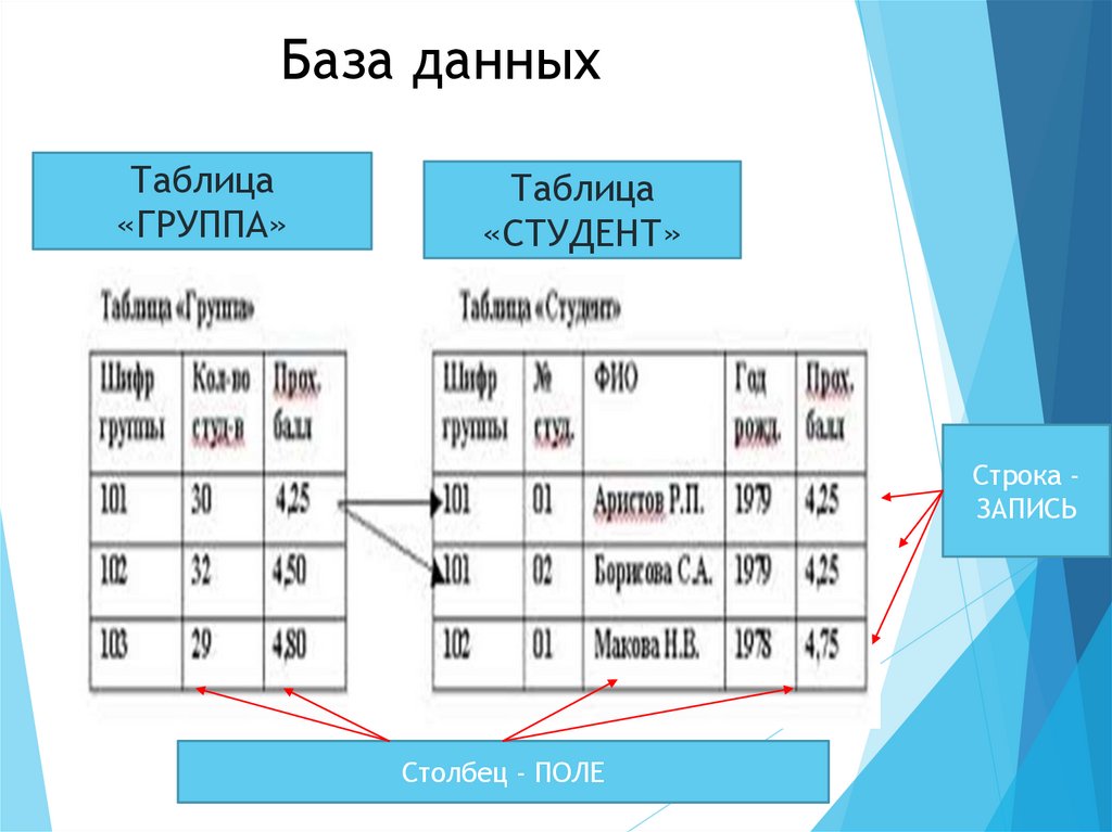 База данных