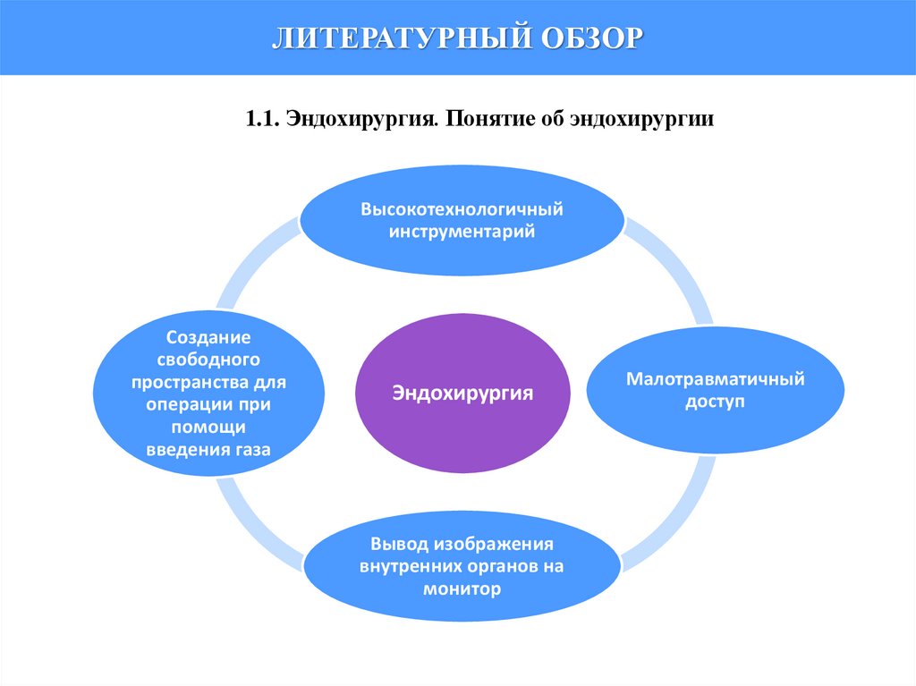 ЛИТЕРАТУРНЫЙ ОБЗОР